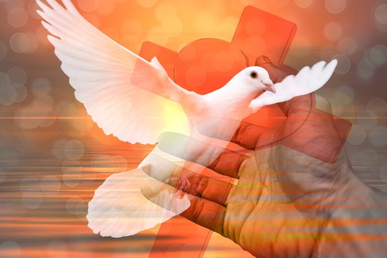 Ohlášky slavnost Nejsvětější Trojice