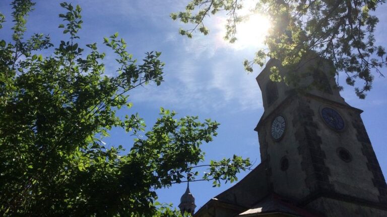 Ohlášky 25. neděle v mezidobí