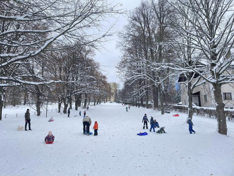Ohlášky 2.neděle adventní, 10.12.2023