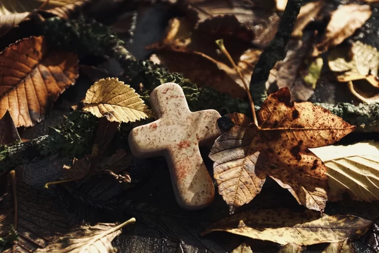 Ohlášky 33. neděle v mezidobí – 16. 11. 2025